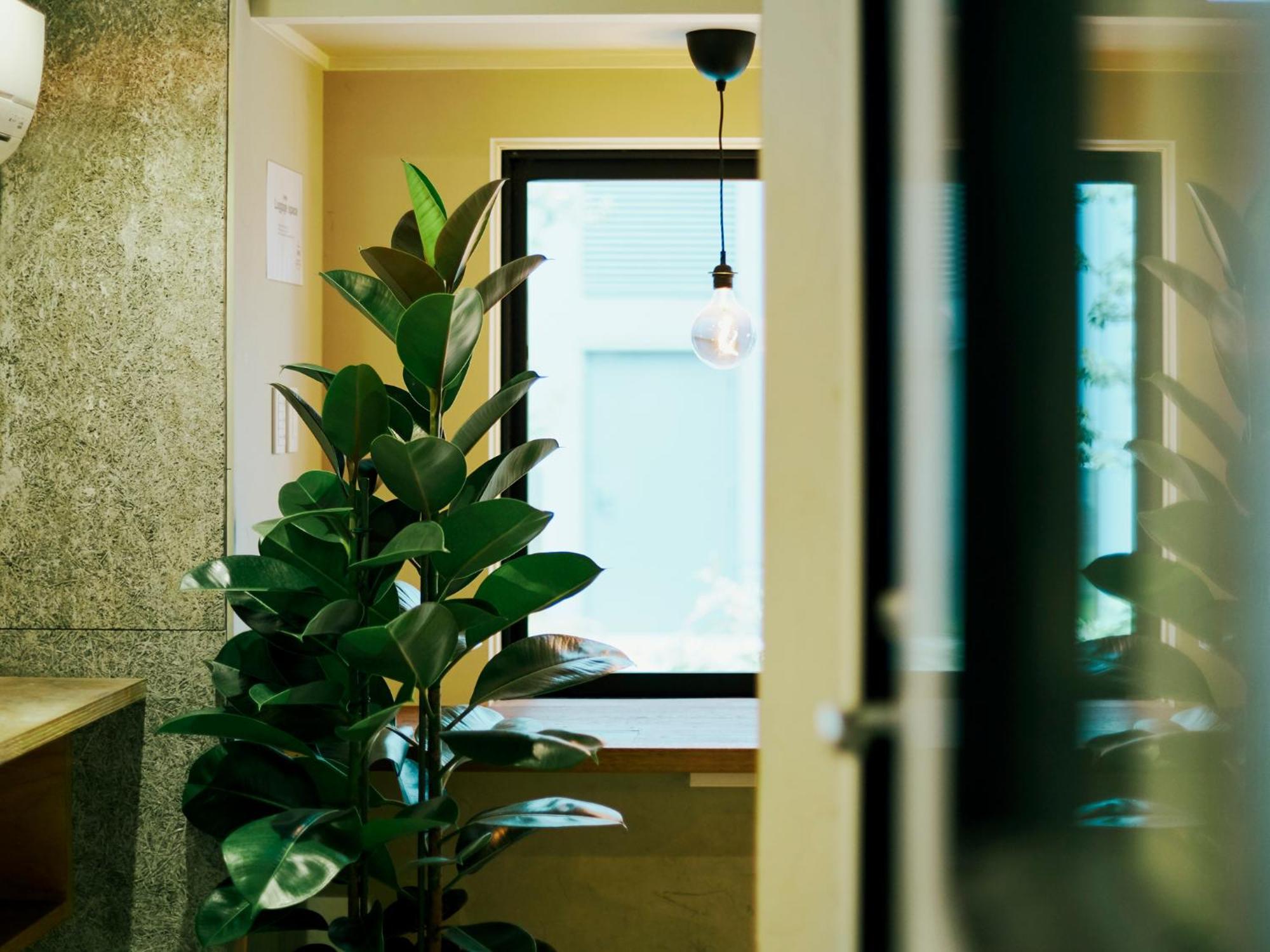 Akasaka Guesthouse Hive Τόκιο Εξωτερικό φωτογραφία